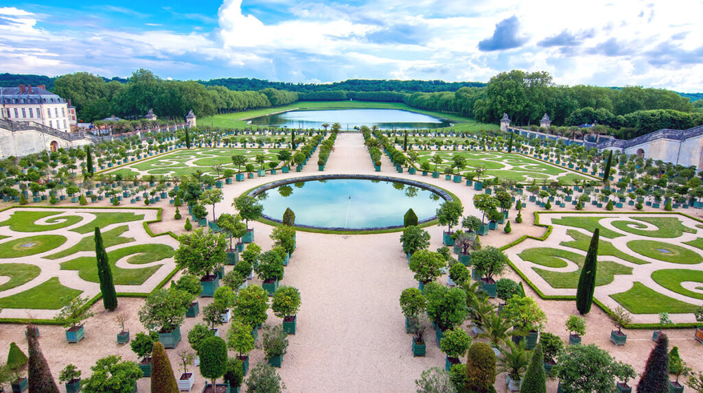 Find Weed In Versailles