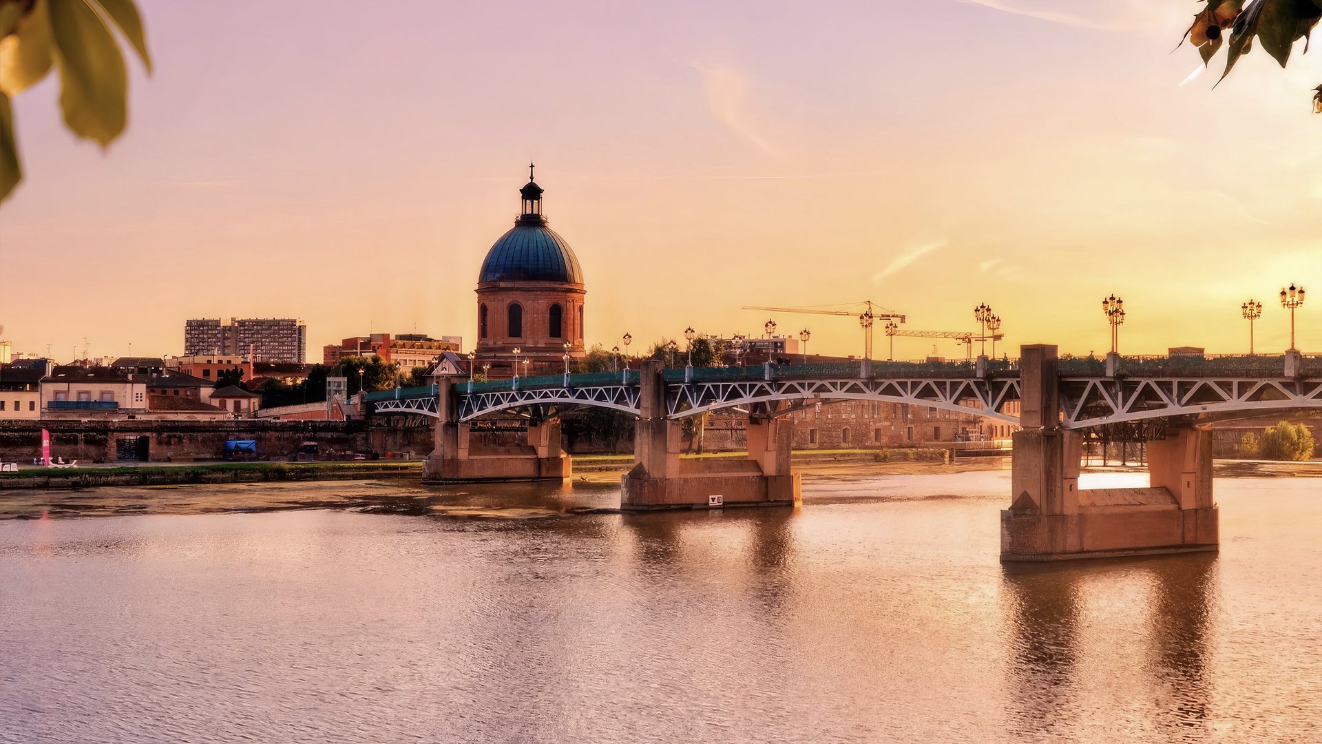 You are currently viewing Weed In Toulouse