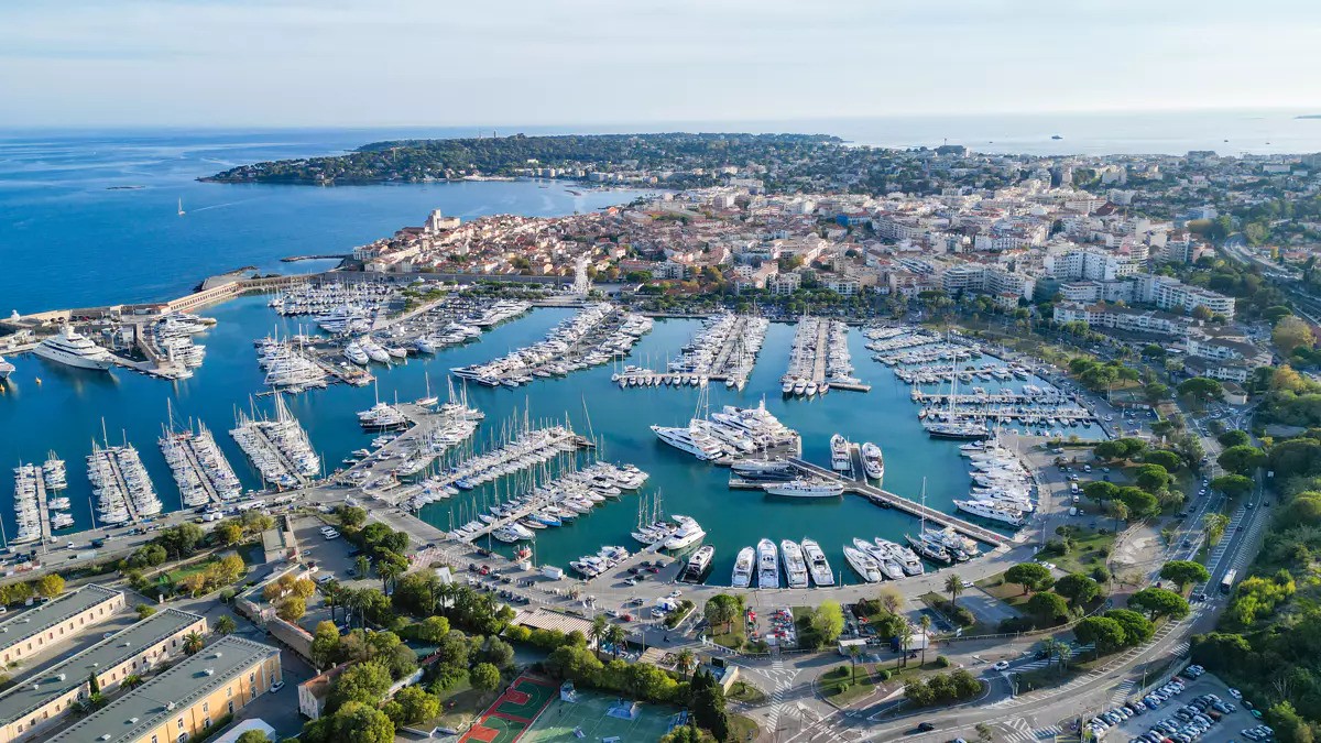 You are currently viewing Weed In Antibes