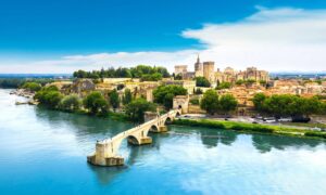 Read more about the article Weed In Avignon