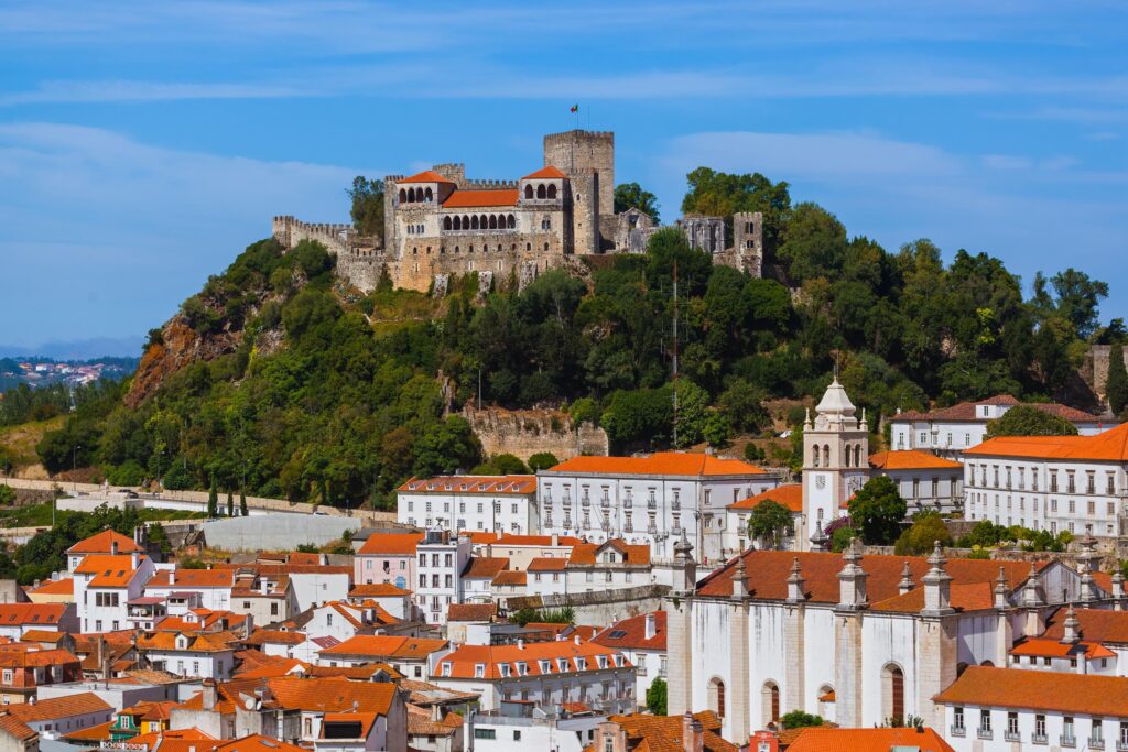 Weed In Leiria