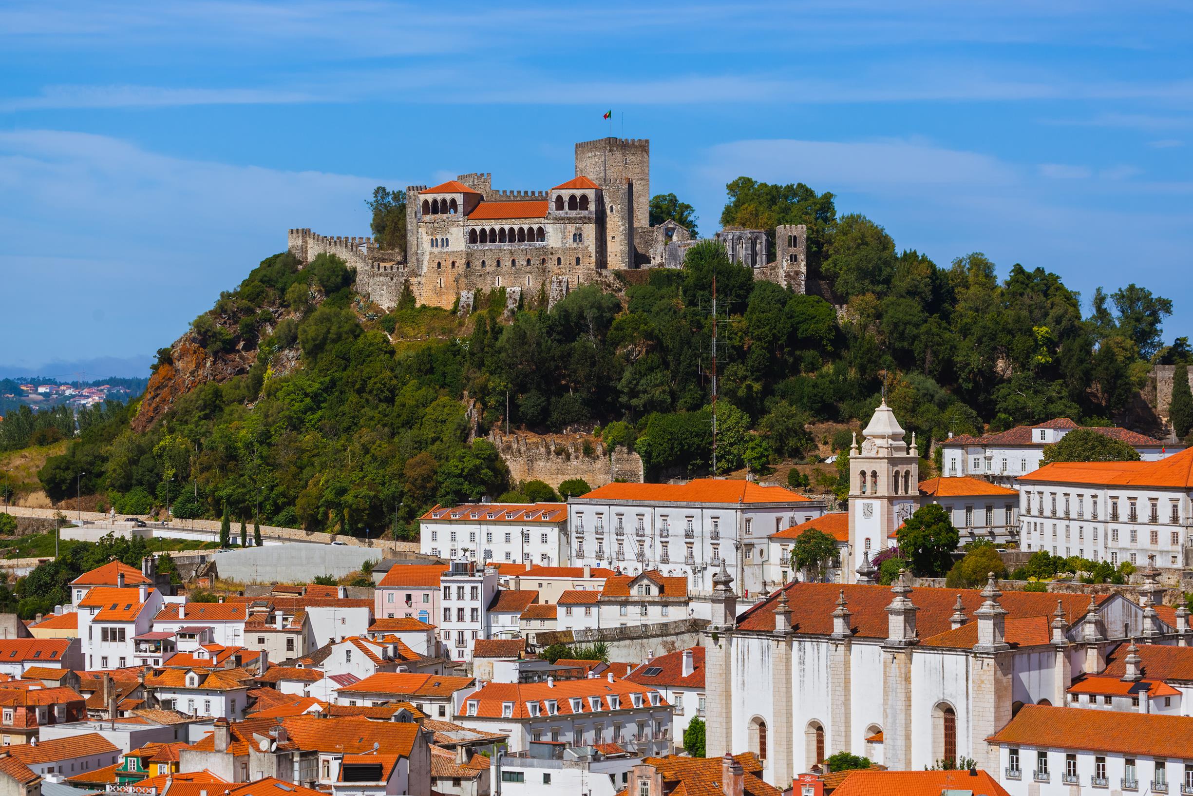 You are currently viewing Weed In Leiria